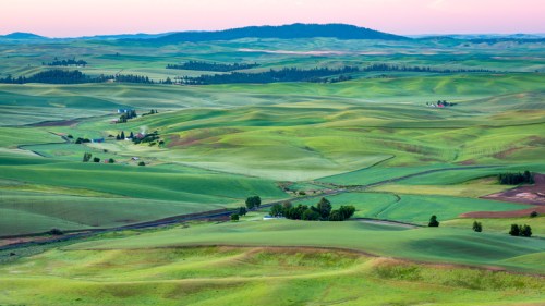 Vast green rolling hills under a pastel sky, with scattered farms and trees in a serene landscape.