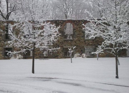 Snow-covered ruins surrounded by trees, creating a serene winter landscape.