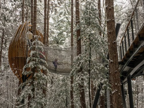 A snowy forest scene featuring a wooden treehouse and a suspended net bridge among tall trees.