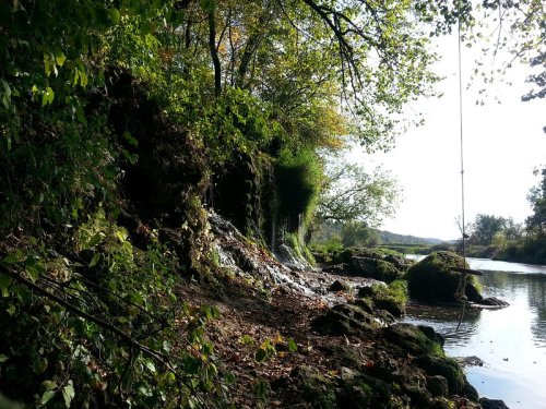 A serene riverside scene with lush greenery, rocky banks, and a rope swing hanging from a tree.