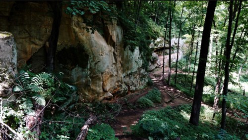 A forested path winding through lush greenery and rocky cliffs, with sunlight filtering through the trees.