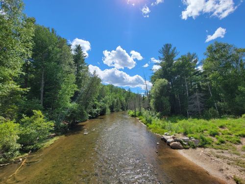 A serene river flows through a lush green forest under a bright blue sky with fluffy white clouds.