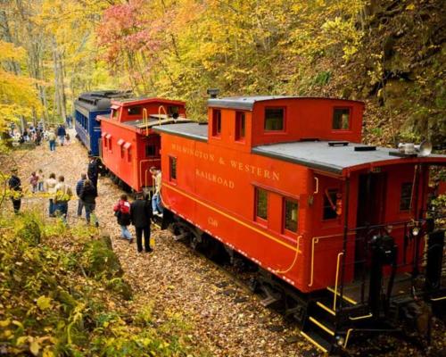 A red train with cabooses parked in a forested area, surrounded by autumn leaves and people exploring nearby.