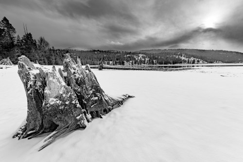 A snow-covered landscape featuring a weathered tree stump, with a cloudy sky and distant forested hills.