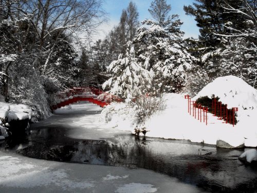 A serene winter scene featuring a snow-covered landscape with a red bridge over a frozen stream surrounded by trees.