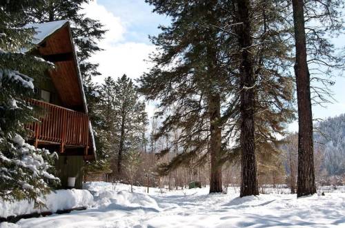 A snowy landscape featuring a cabin surrounded by tall pine trees under a clear blue sky.