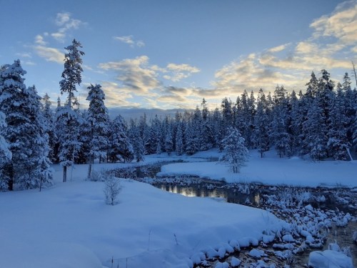 A serene winter landscape with snow-covered trees, a frozen river, and a cloudy sky at dusk.