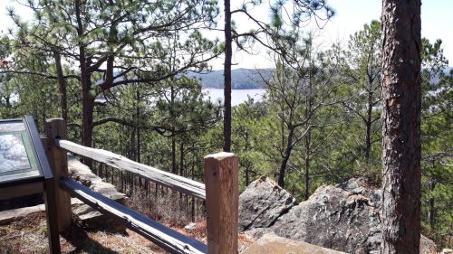 Scenic view of a lake surrounded by trees, with a wooden railing and informational sign in the foreground.