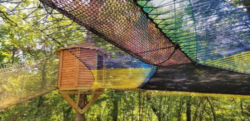 A colorful netted walkway leads to a wooden treehouse, surrounded by lush green trees.