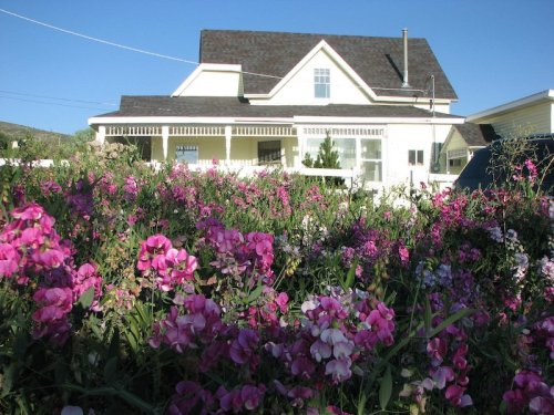 A charming white house surrounded by vibrant pink and purple flowers under a clear blue sky.