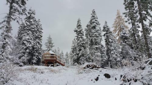 A cozy cabin surrounded by tall, snow-covered trees under a cloudy sky.
