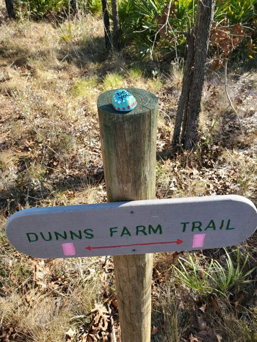 A wooden trail sign for Dunns Farm Trail, with a painted rock on top, surrounded by grass and trees.