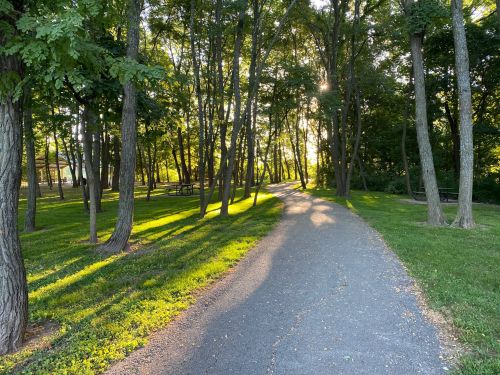 A serene park path winding through trees, with sunlight filtering through the leaves, casting soft shadows on the ground.