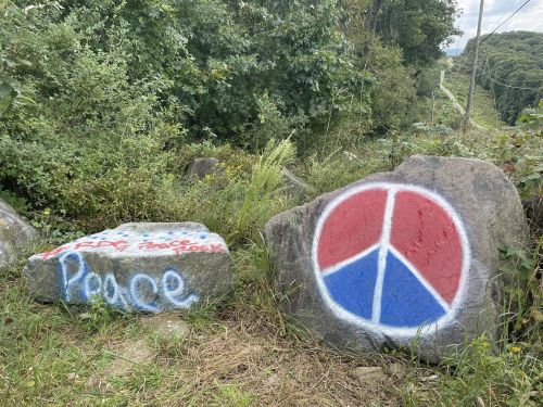 Two large rocks in a grassy area, one painted with a peace symbol and the other with the word "Peace."