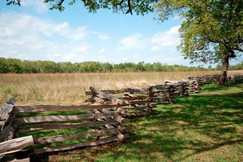 A rustic wooden fence lines a grassy area, with tall grass and trees in the background under a blue sky.