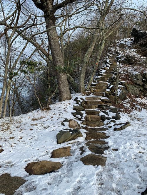 A snowy path with stone steps leads up a hillside, surrounded by bare trees and rocky terrain.
