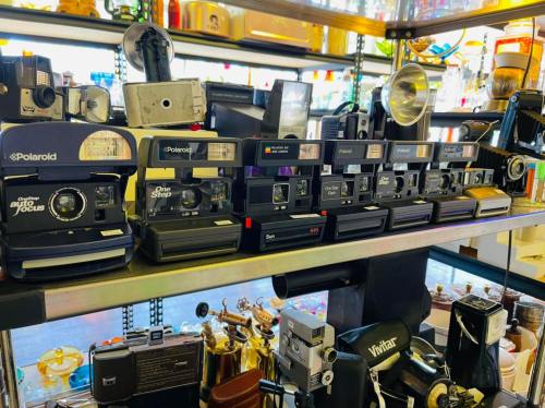 A collection of vintage Polaroid cameras displayed on a shelf, showcasing various models and designs.