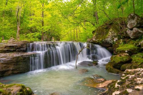 A serene waterfall cascades over rocks into a clear pool, surrounded by lush green trees and vibrant foliage.