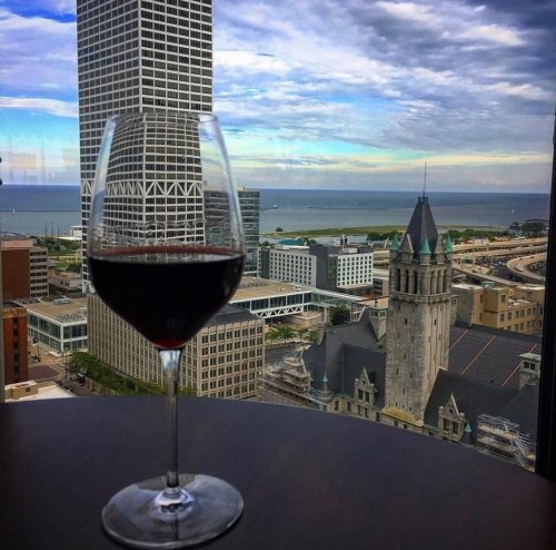 A glass of red wine in the foreground with a city skyline and lake in the background under a cloudy sky.