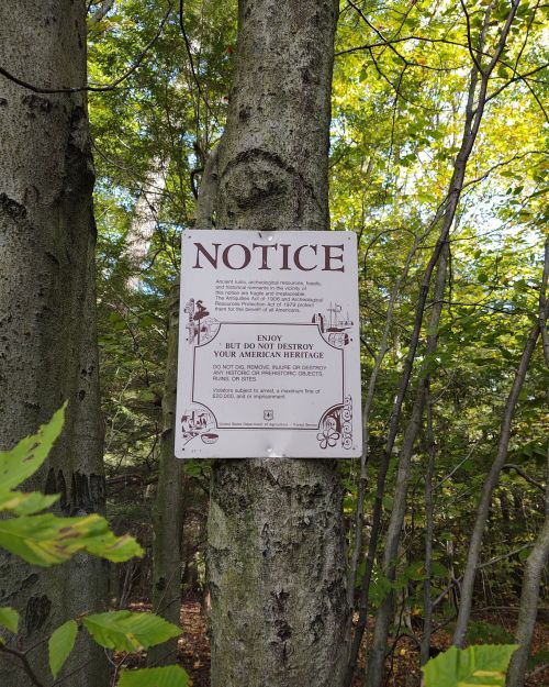 A notice sign on a tree in a forest, urging preservation of American heritage amidst green foliage.