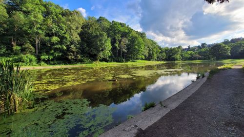 A serene pond surrounded by lush greenery under a partly cloudy sky, with reflections on the water's surface.