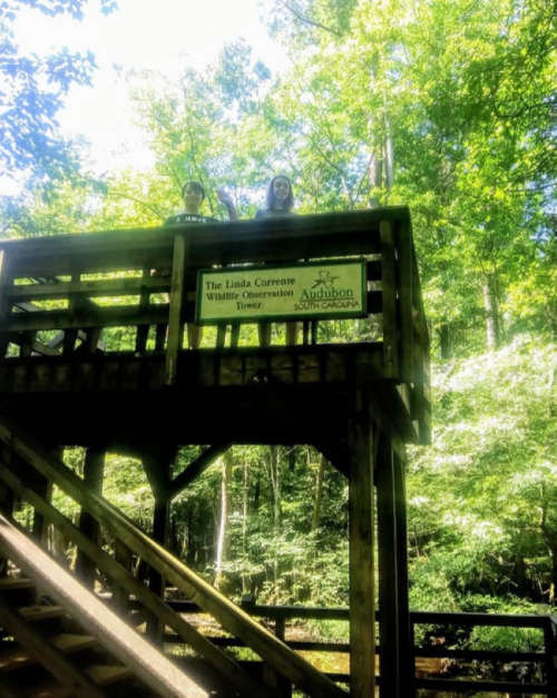 Two people stand on a wooden observation tower surrounded by lush green trees, with a sign for the wildlife observation tower.