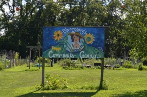 A colorful sign for Bloomsburg's Community Garden featuring a woman surrounded by sunflowers, set in a green landscape.