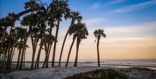 A serene beach scene with tall palm trees against a colorful sunset sky and calm ocean waves.