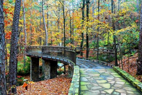 A winding wooden bridge through a colorful autumn forest with vibrant leaves and a stone pathway.