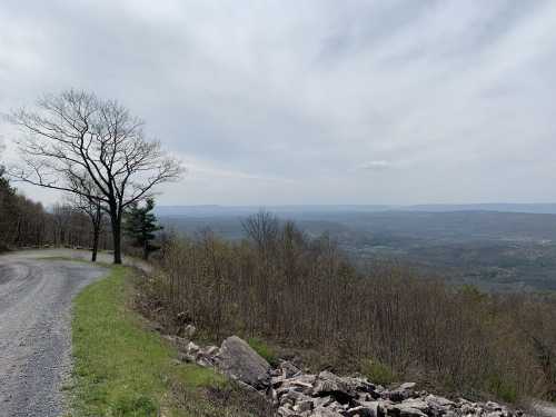 A winding gravel road leads to a scenic overlook of a valley, with sparse trees and a cloudy sky in the background.