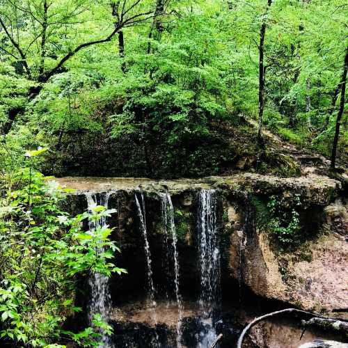 A serene waterfall cascading over rocks, surrounded by lush green trees in a tranquil forest setting.