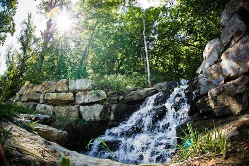 A small waterfall cascades over rocks in a lush, green forest, with sunlight filtering through the trees.