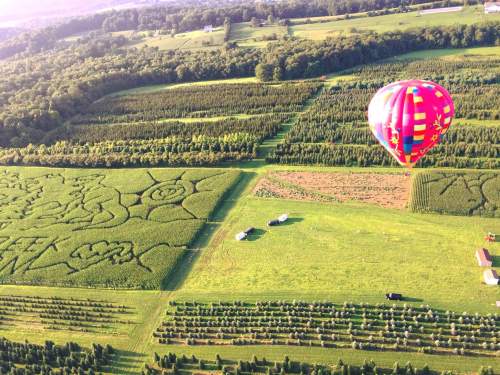 A colorful hot air balloon floats over a lush landscape with intricate crop patterns and trees below.
