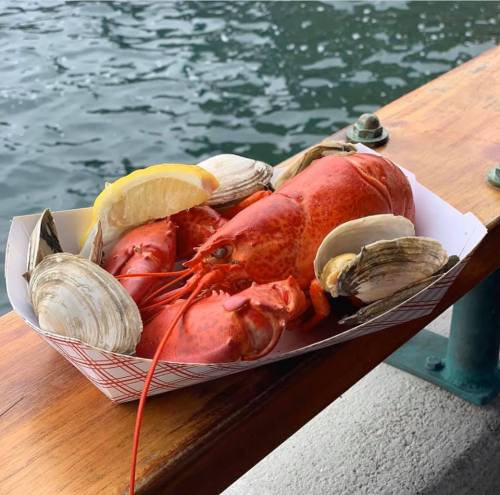 A tray of cooked lobster and clams, garnished with lemon, resting on a wooden surface by the water.