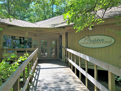 Entrance to the Audubon Center at Beidler Forest, featuring a wooden walkway surrounded by greenery.
