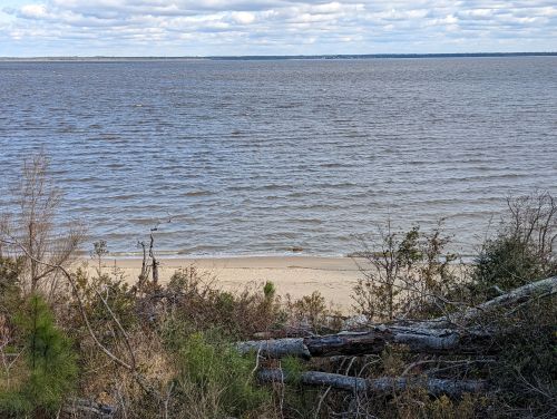 A serene view of a calm lake with a sandy shore, surrounded by trees and cloudy skies.