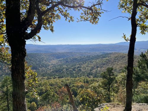 A scenic view of rolling hills and valleys, framed by trees under a clear blue sky. Autumn foliage is visible.