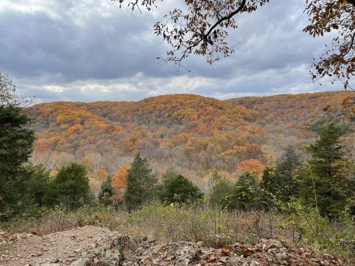 A scenic view of rolling hills covered in autumn foliage under a cloudy sky.