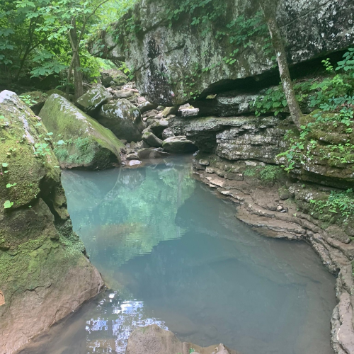 A serene natural scene featuring a clear blue stream surrounded by lush greenery and large rocks.