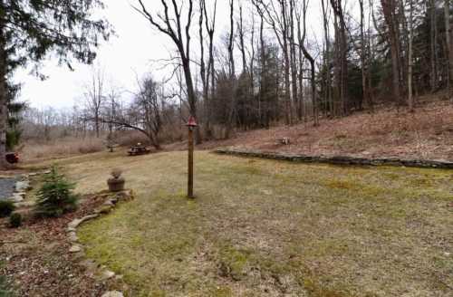 A grassy area with a bird feeder, surrounded by trees and a wooded background, on a cloudy day.