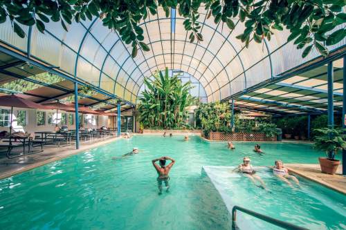 Indoor swimming pool surrounded by lush greenery, with people swimming and relaxing in the water.
