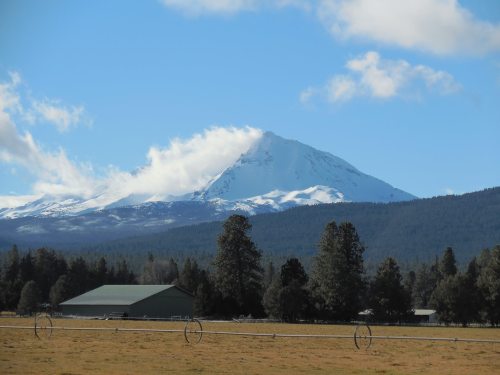 Snow-capped mountain under a blue sky, surrounded by green trees and a field with a barn in the foreground.