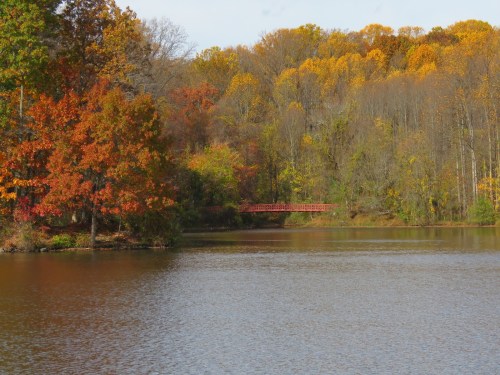 A serene lake surrounded by autumn trees with vibrant orange and yellow leaves, featuring a red bridge in the background.