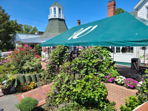 A charming outdoor dining area with vibrant flowers, greenery, and a large green canopy on a sunny day.