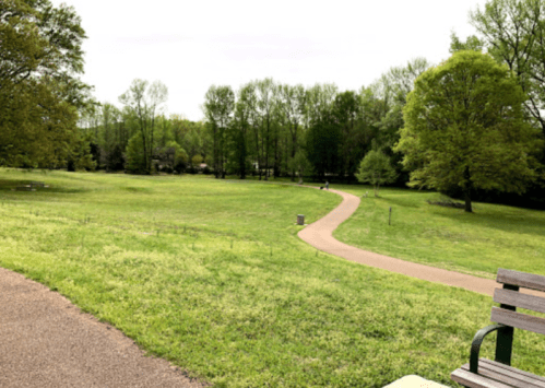 A peaceful park scene with a winding path, green grass, and trees under a cloudy sky. A bench is visible in the foreground.