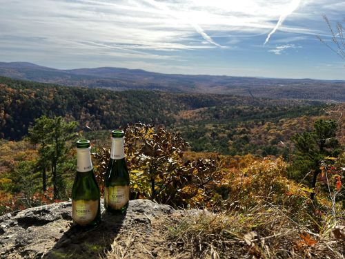 Two bottles of sparkling cider sit on a rock, overlooking a colorful autumn landscape with rolling hills and a blue sky.
