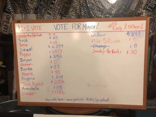 A whiteboard listing candidates for mayor with names, vote counts, and donation amounts.