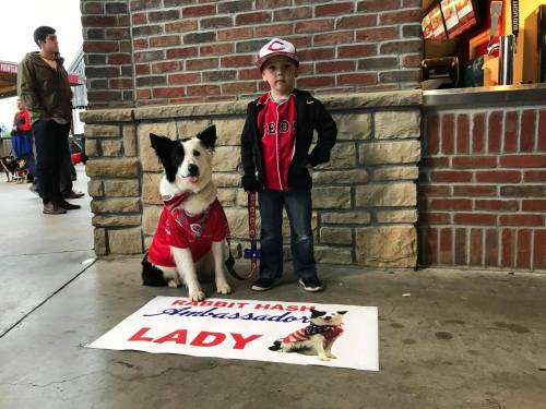 A young boy in a baseball cap stands next to a dog wearing a red jersey, beside a sign that reads "Rabbit Hash Ambassador Lady."