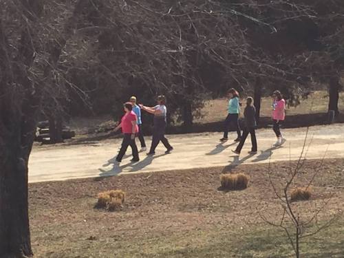 A group of people walking on a path in a park, surrounded by trees and grass on a sunny day.