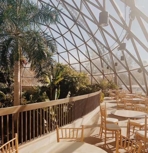 A spacious, glass-domed greenhouse filled with lush plants and wooden tables and chairs arranged for an event.